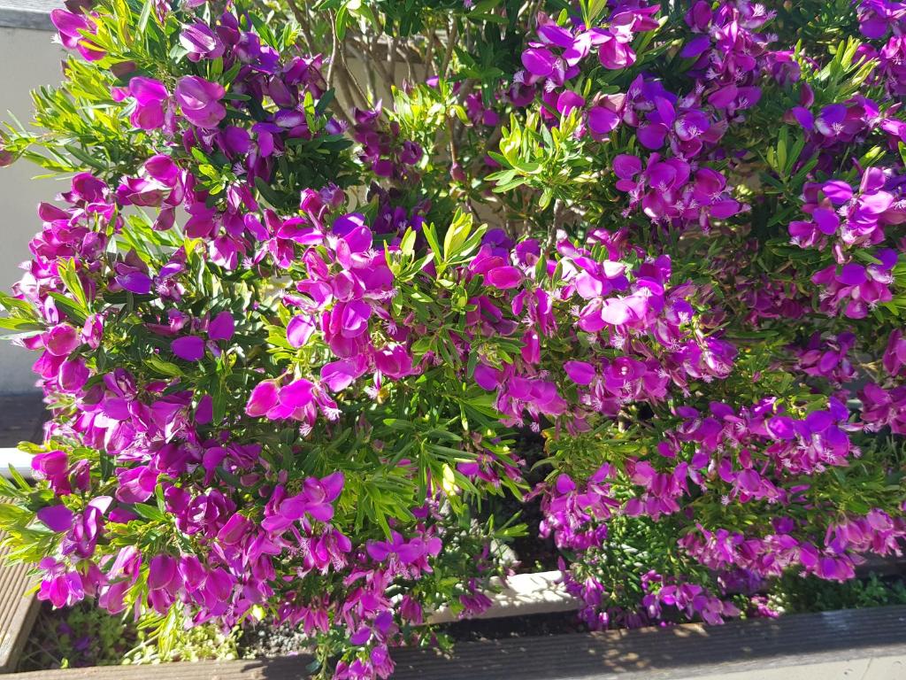 Mountainview Villa Luxury Lodge - Resim 39