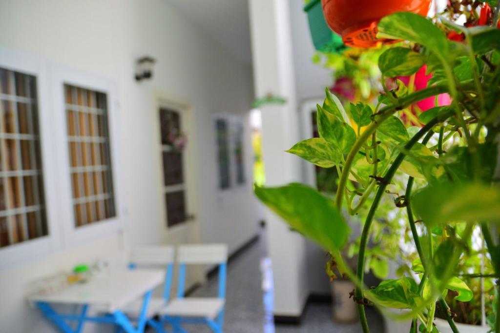 Fotografie z fotogalerie ubytování Blossom Homestay v destinaci Tuy Hoa