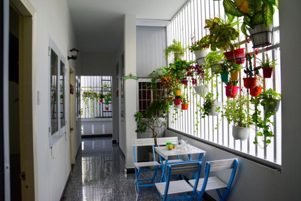 a hallway with a table and a bunch of plants at Blossom Homestay in Tuy Hoa
