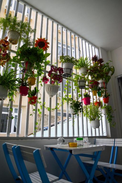 Restaurace v ubytování Blossom Homestay