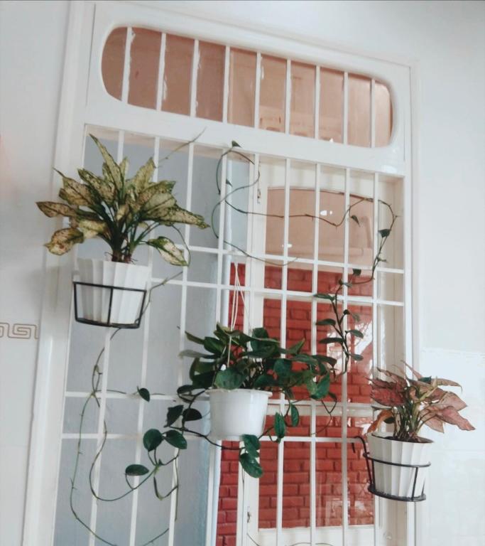 Fotografie z fotogalerie ubytování Blossom Homestay v destinaci Tuy Hoa