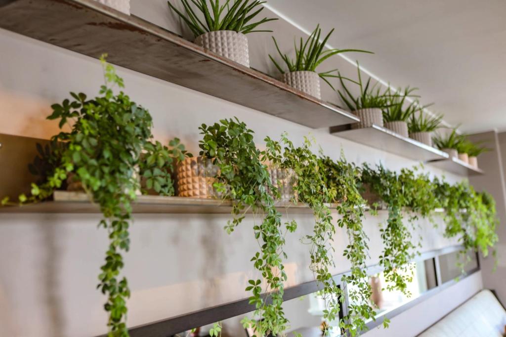 Hotel Villan - Resim 12