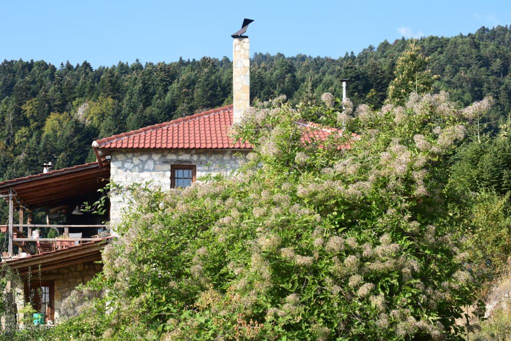 una casa en una colina con un pájaro encima de un árbol en Arli House, en Ano Trikala