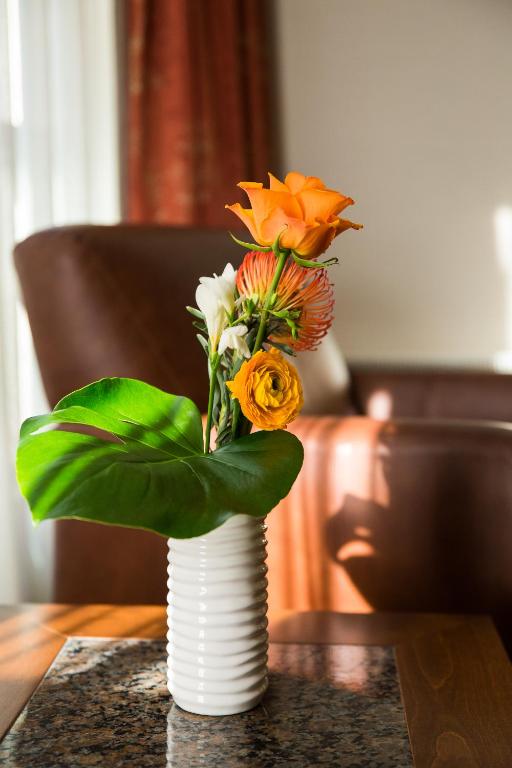 Hotel Chateau Laurier Québec - Resim 19