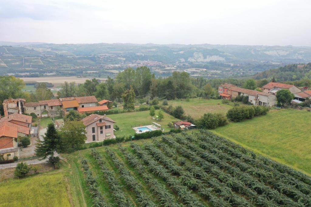 z góry widok na gospodarstwo z polem winorośli w obiekcie Ospitidelpero w mieście Piozzo