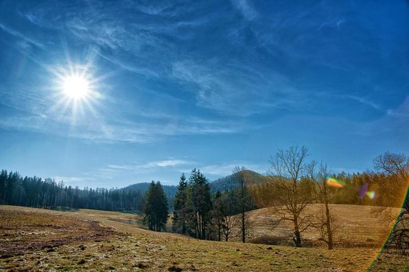 Príroda v okolí hotela