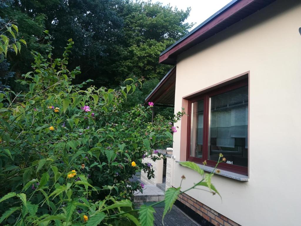 una ventana de una casa con jardín en Ferienhaus am Wald, en Loissin