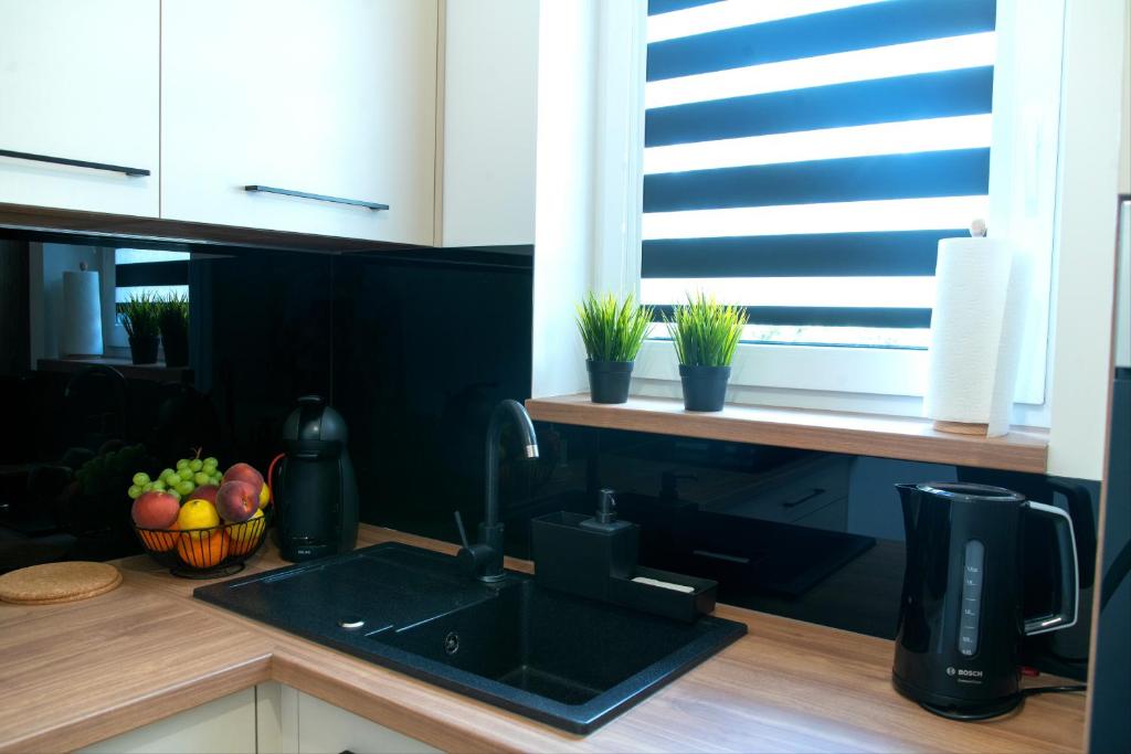 Apartament Zielony - Okrzei (Garaż, Targi) - Appartement D'une Chambre