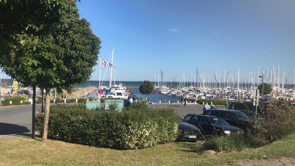 un grupo de coches estacionados en un puerto deportivo con barcos en Ella2 en Grömitz