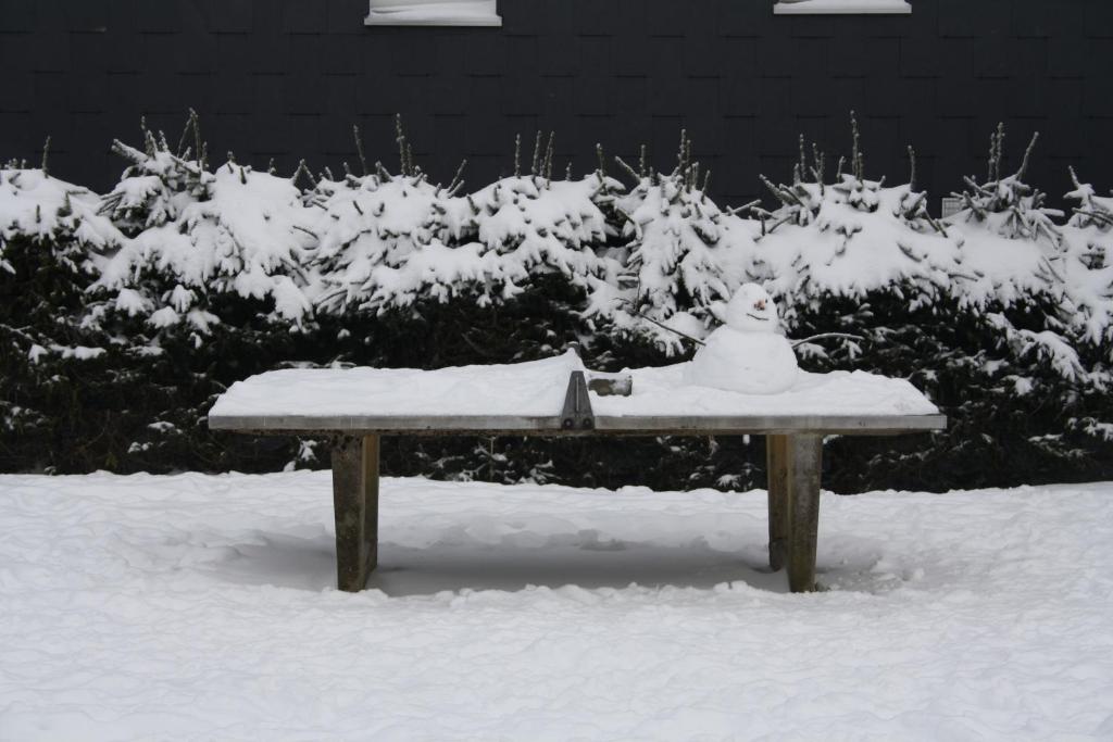 Ferienpark Winterberg v zimě