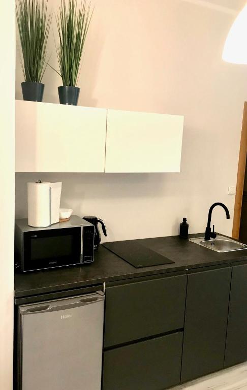 Kuchnia lub aneks kuchenny w obiekcie Apartamenty Długa 6