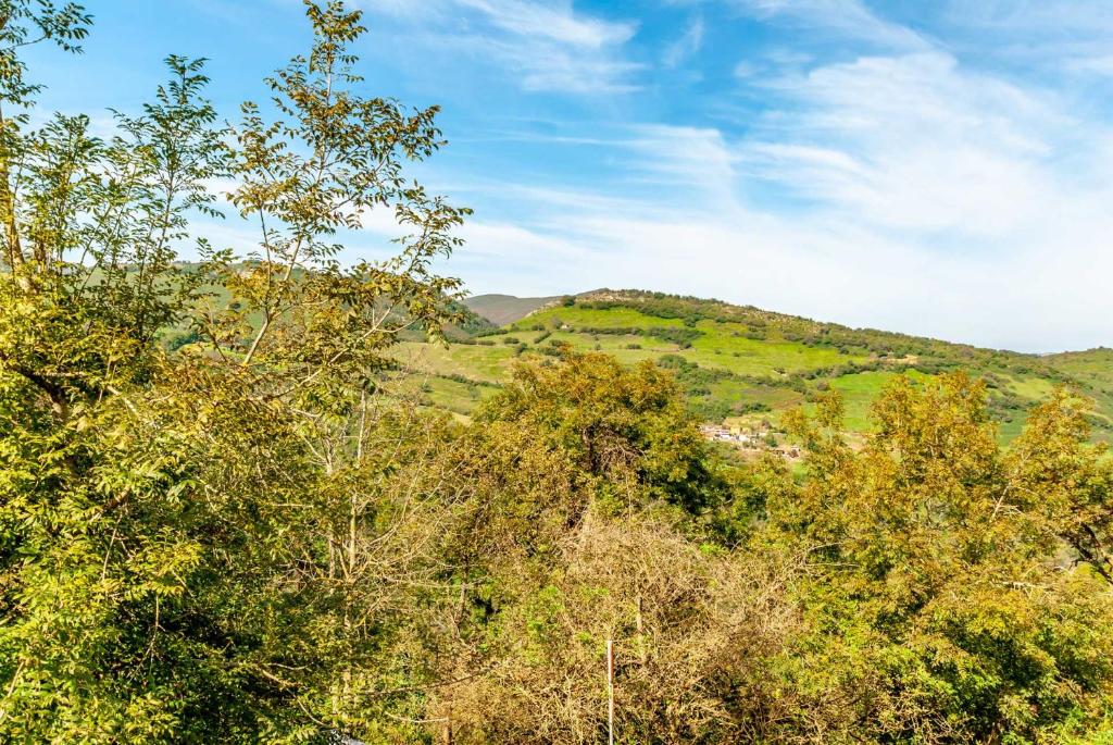 Příroda nedaleko apartmánu