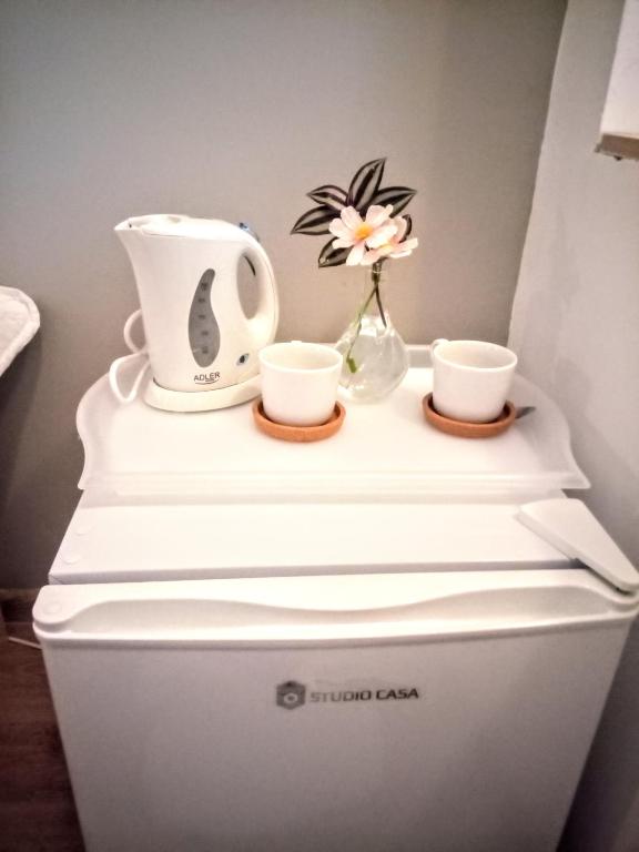 Příslušenství pro přípravu čaje a kávy v ubytování Central Guesthouse