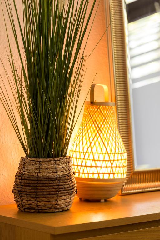 City Center Apartments - One-Bedroom Apartment