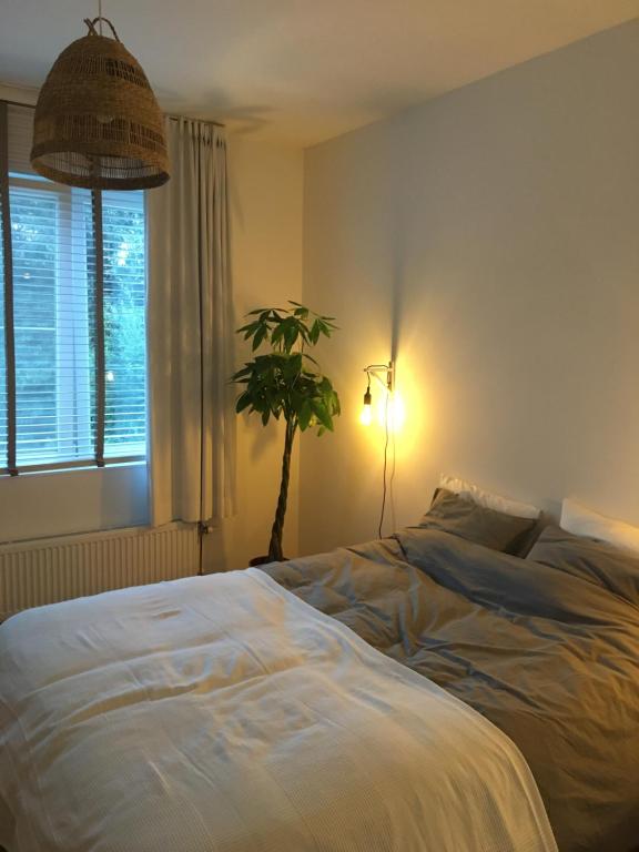 Un dormitorio con una cama grande y una maceta en Appartement op top locatie in Antwerpen, en Amberes