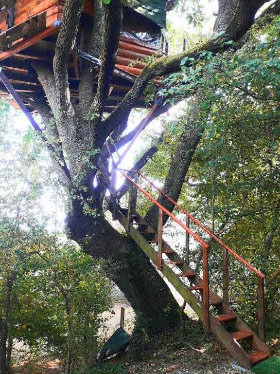 Fotografie z fotogalerie ubytování B&B La Cabane Insolite v destinaci Monès