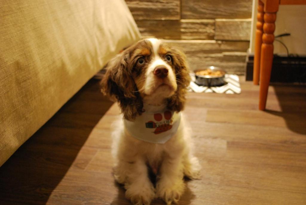 Hotel Chateau Bellevue - Resim 21