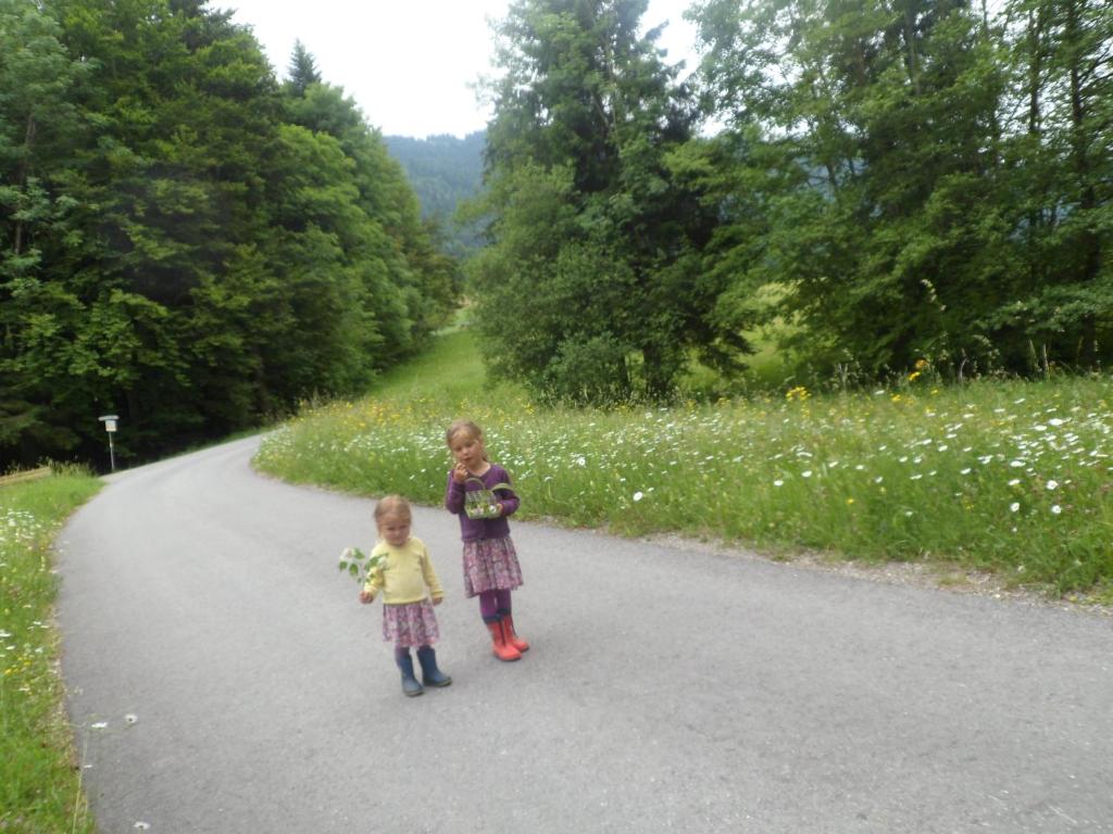 Deux petites filles marchent sur une route dans l'établissement Berghof Vöglerbrand, à Andelsbuch