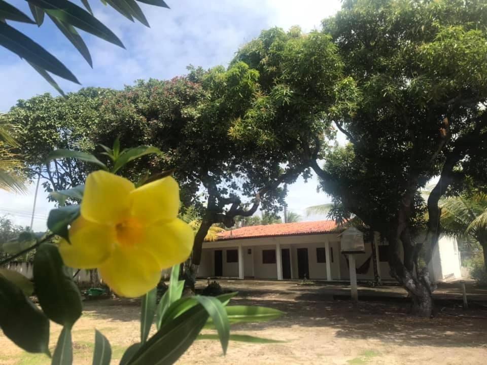 CHALES AJULULU  CHALES AJULULU