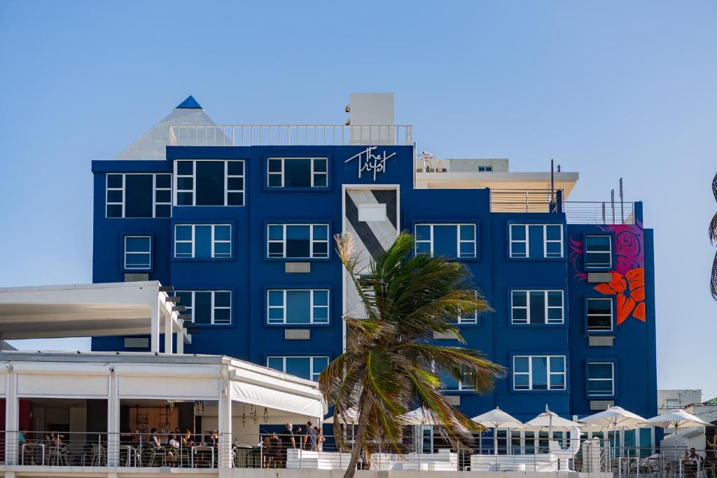 a blue building with a palm tree in front of it at The Tryst Beachfront Hotel in San Juan