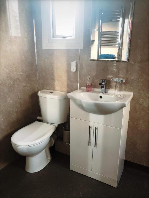 a bathroom with a toilet and a sink and a mirror at Richmond Luxury flat Fabulous location in Southend-on-Sea