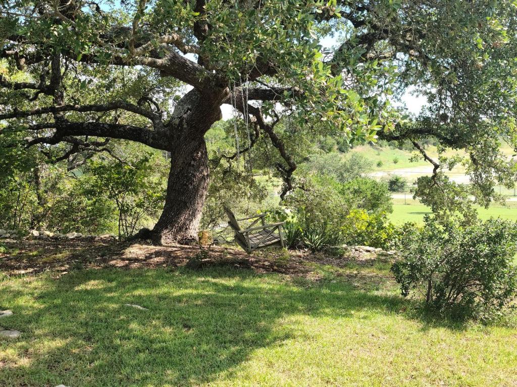 un arbre dans un champ avec un banc sous celui-ci dans l'établissement Hill Country Haute n Haus Relax and Renew, à Fischer