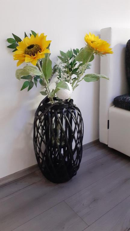 Apartmani Polanščak - 6