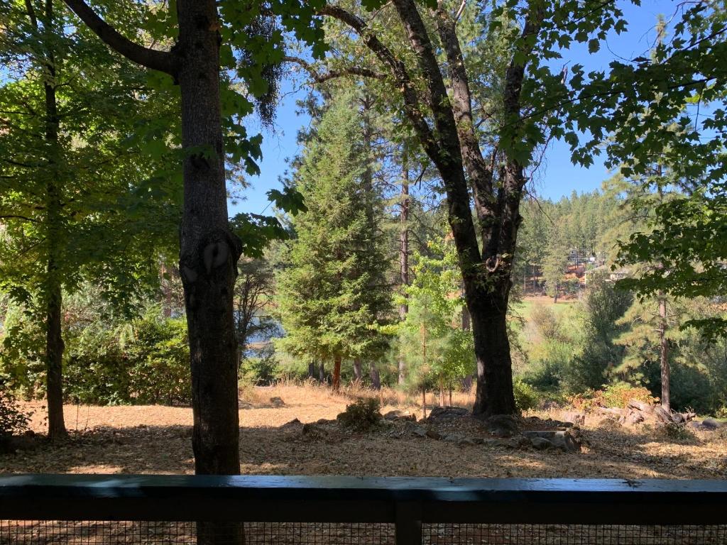 Alta Sierra Village Inn - Standard Double Room