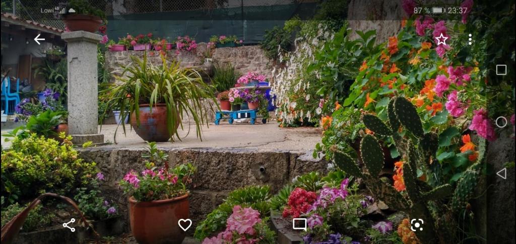 Apartamento Tui, Casa da Barca - 14