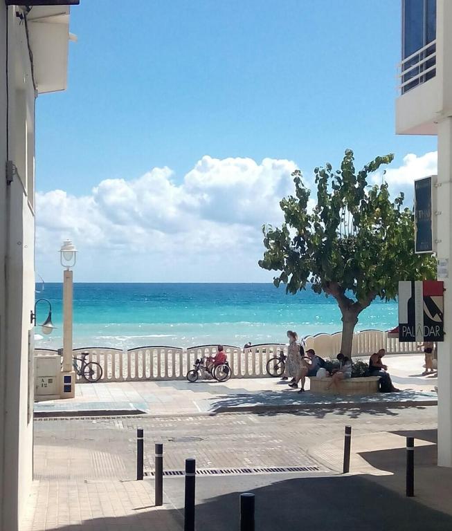 FH ALTEA CENTRO PLAYA - 13