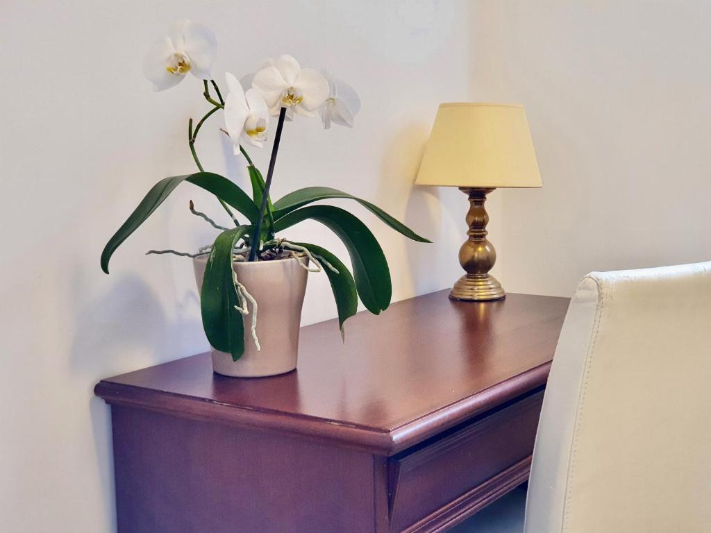 Hotel Aurora - Resim 41