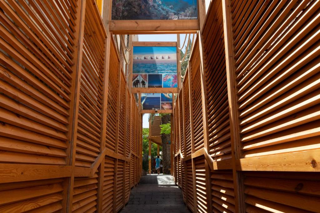 Fotografie z fotogalerie ubytování The Bridge Dahab v destinaci Dahab