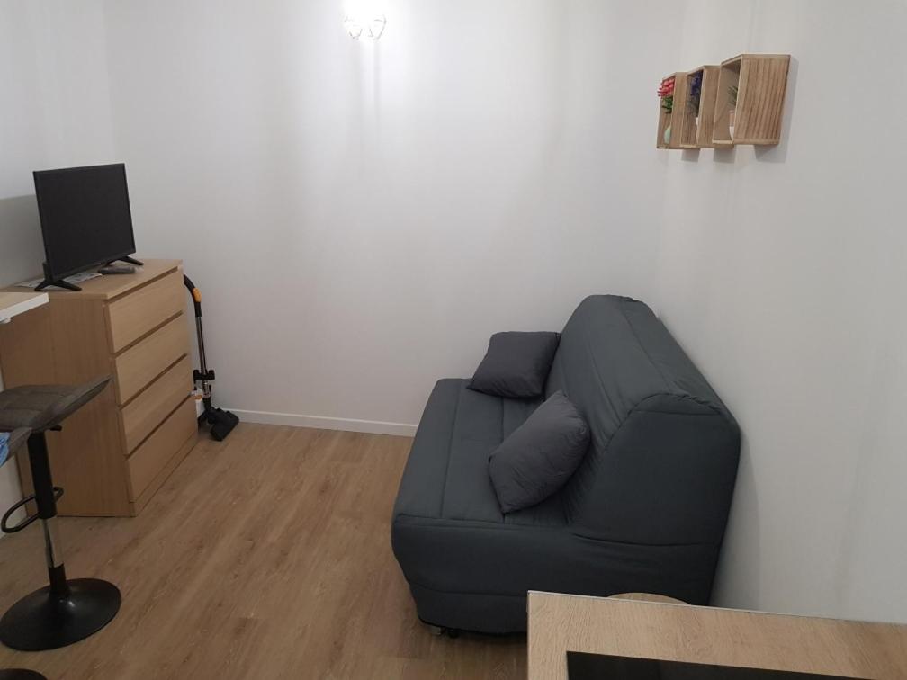 オルレアンにあるLa Fauconnerie Studio de charme au cœur d'Orléansのリビングルーム(ソファ、デスク付)