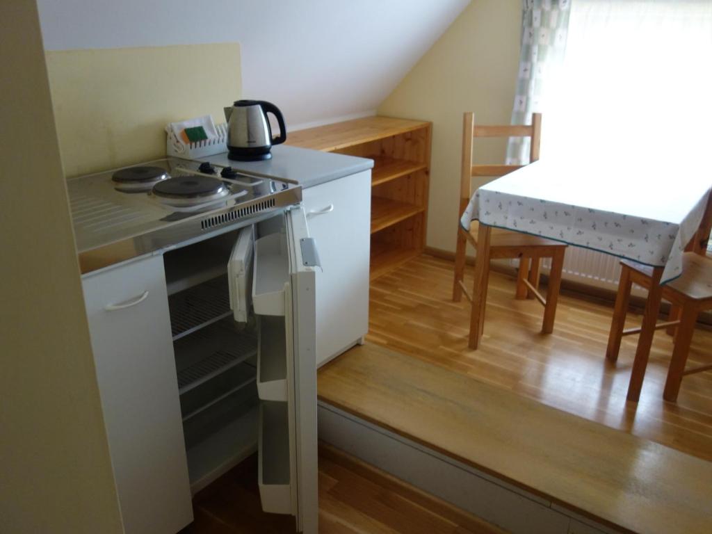 Kuchyň nebo kuchyňský kout v ubytování Pension Aspen