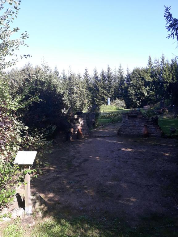 a yard with a bench and trees in the background at Uroczysko Ruczaj in Czarna Białostocka