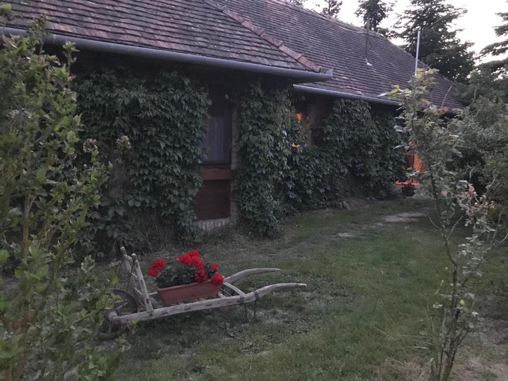 Zahrada ubytování Vadszőlős Porta