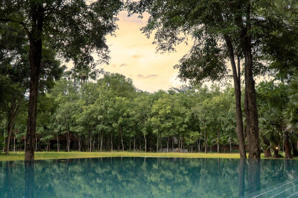 uma piscina com árvores ao fundo em Mane Family Vacation em Siem Reap