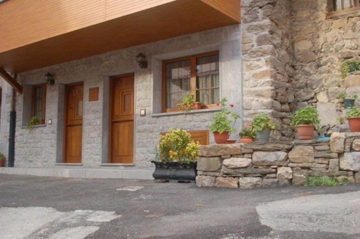 a stone house with potted plants in front of it at Apartamentos Rurales Les Martes in Felechosa