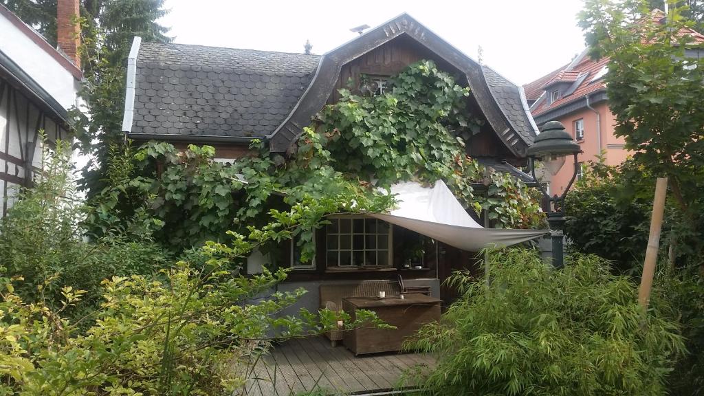 ボンにあるFerienhaus Bonnのブドウ畑の家