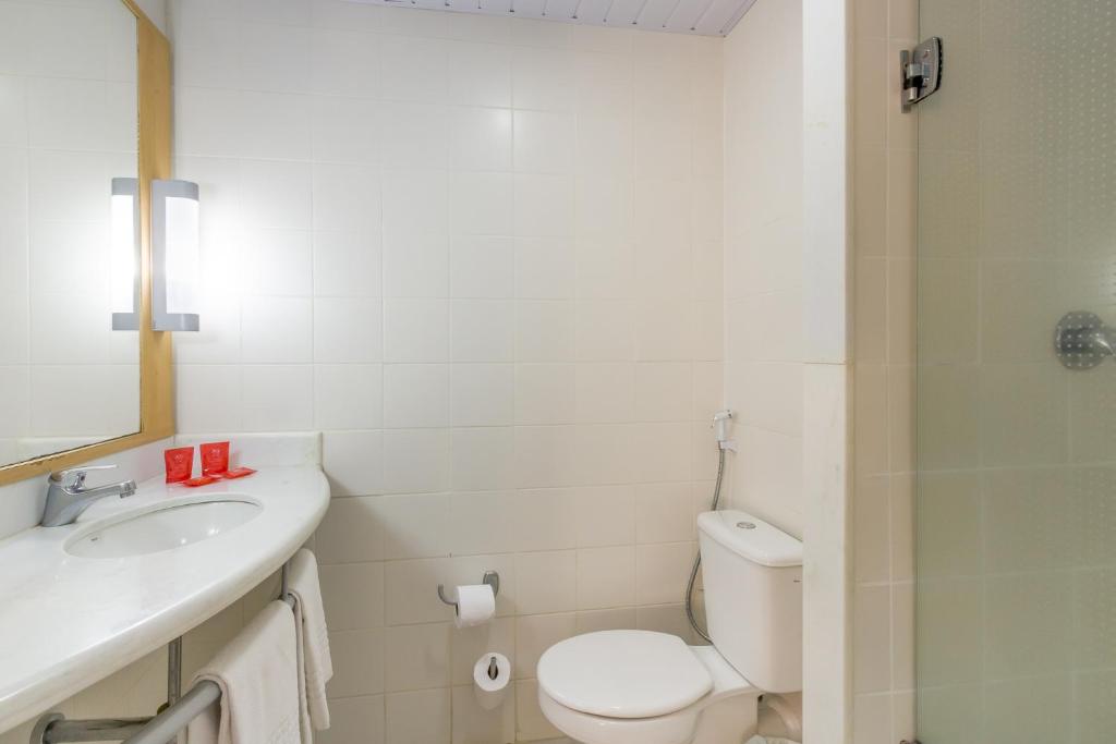  ibis Barretos