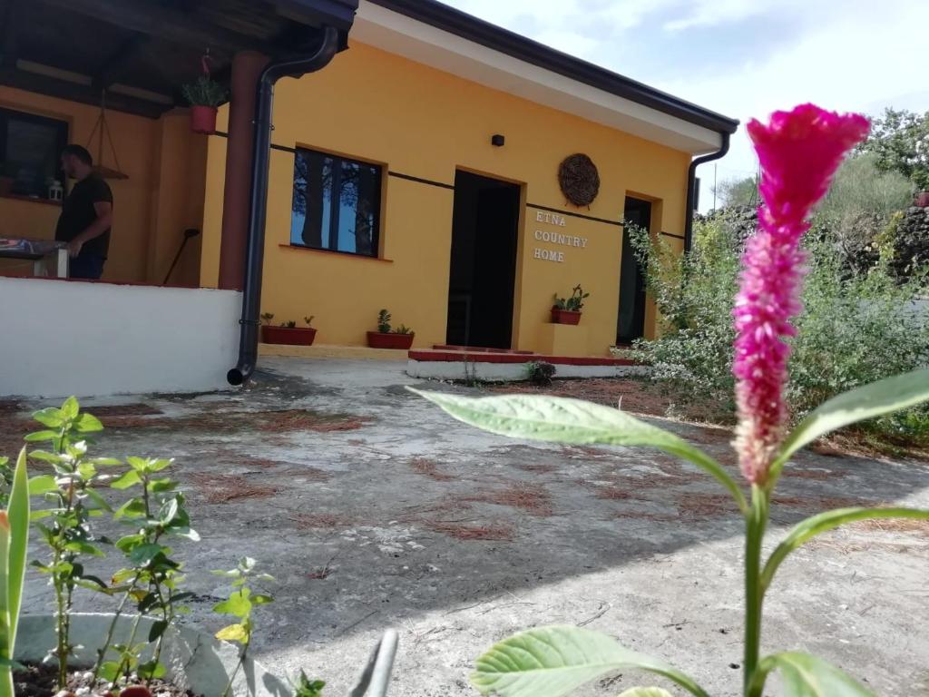 Zahrada ubytování Etna Country Home