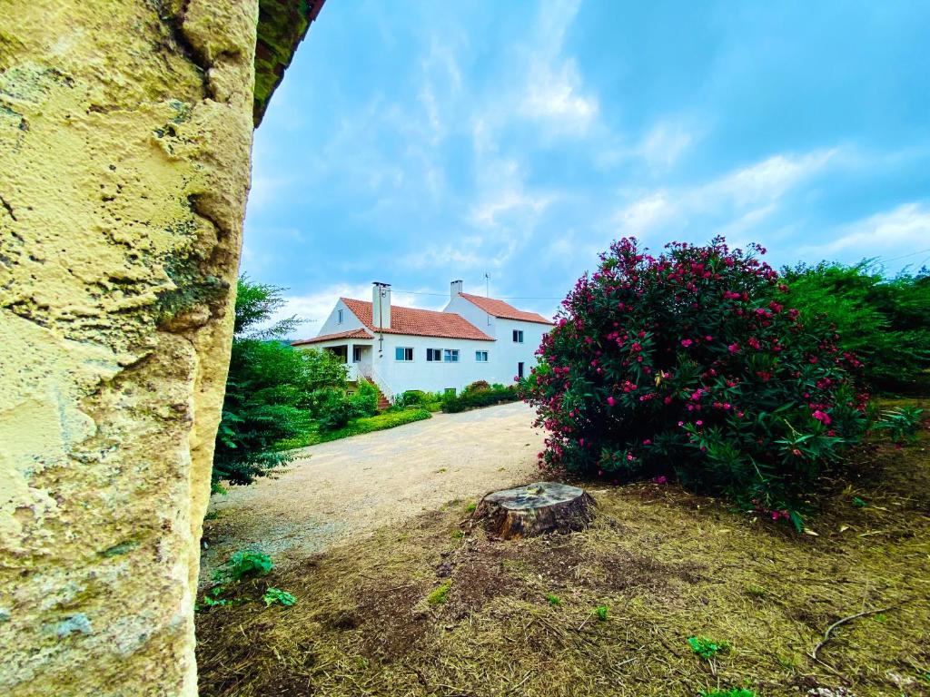 een wit huis met een struik ervoor bij Quinta da Vergueira in Figueiró dos Vinhos