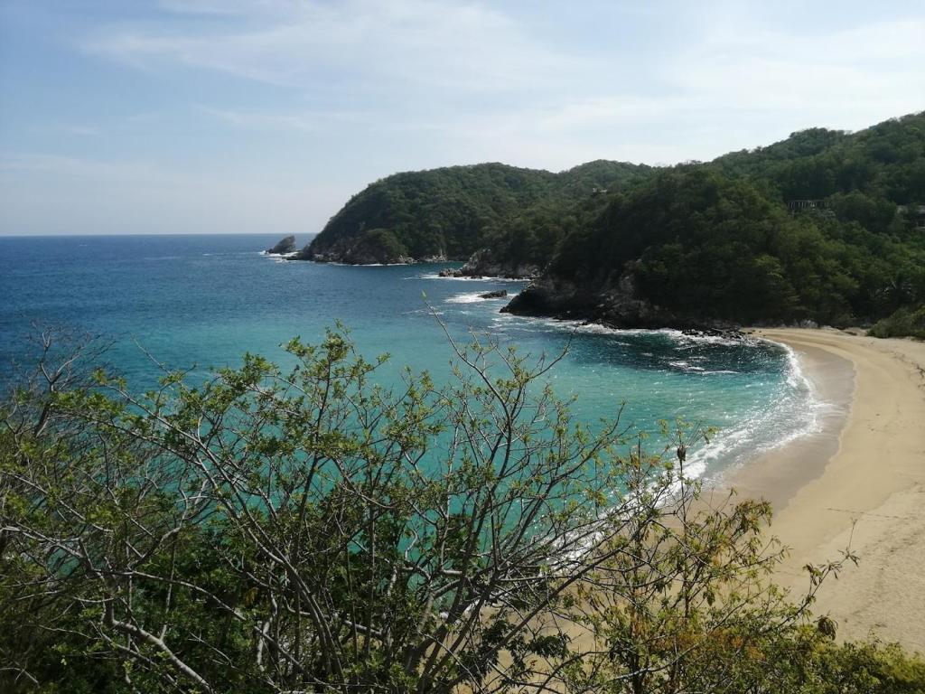 - Vistas a una playa con árboles y al océano en Casa Luna Playa, en Puerto Ángel