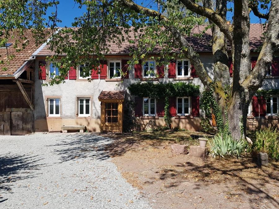 ein großes Haus mit einem Baum davor in der Unterkunft Le jardin des gouttes in Rougegoutte