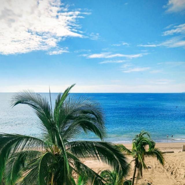 Harbor , Puerto Vallarta, Puerto Vallarta (updated prices 2024)