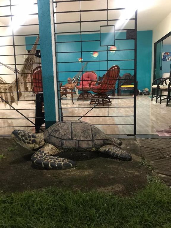  Casa Com Piscina em São José da Coroa Grande PE