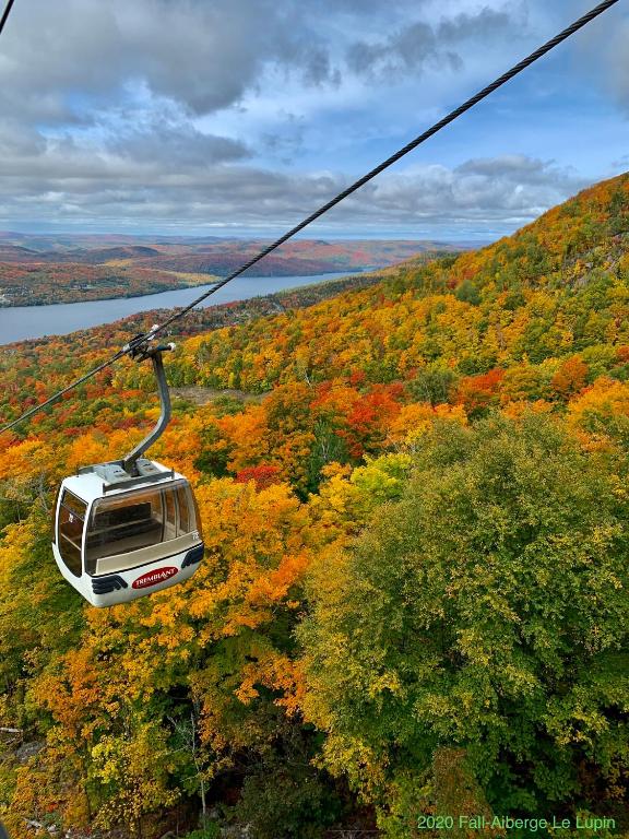 a gondola flying over a forest with fall foliage at Auberge Le Lupin-Self Check-in in Mont-Tremblant