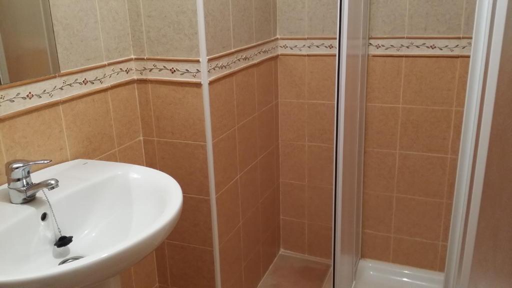 Koupelna v ubytování Apartamentos Portal de Ordesa
