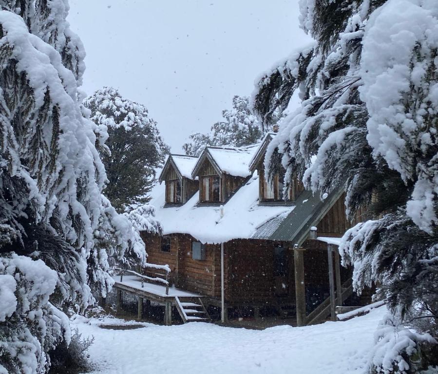 una cabaña de madera en la nieve con árboles nevados en Charlies Cabin - Mt Lyford, en Mt Lyford