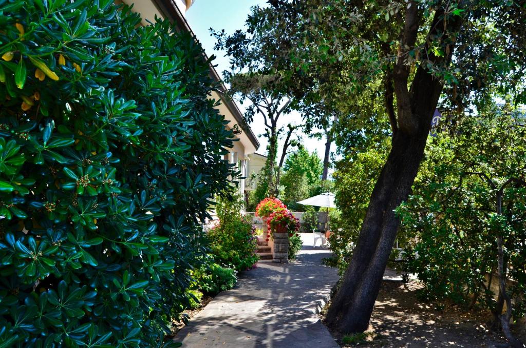 Zahrada ubytování Hotel Puccinelli